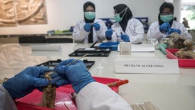 FOTO: Mengintip Proses Konservasi Fosil Purbakala di Museum Bukuran