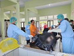 Satu Jenazah Lagi Ditemukan, Korban Tewas KMP Tunu Pratama Jadi 11 Orang