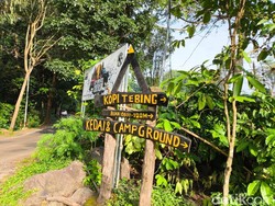 Ngopi Sambil Panjat Tebing Cuma Ada di Kuningan