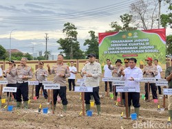 Polda Babel Gelar Penanaman Jagung Serentak Kuartal III