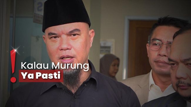 Bikin Konten soal SA, Ahmad Dhani Tak Maafkan Lita Gading