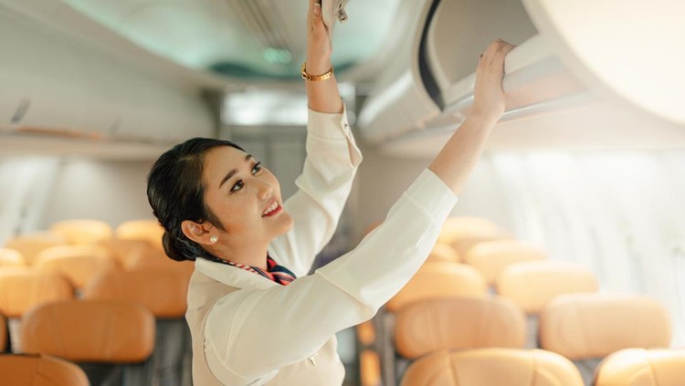 Cabin crew or air hostess working in airplane. Airline transportation and tourism concept.