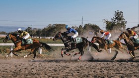 Apa Itu Triple Crown di Pacuan Kuda?