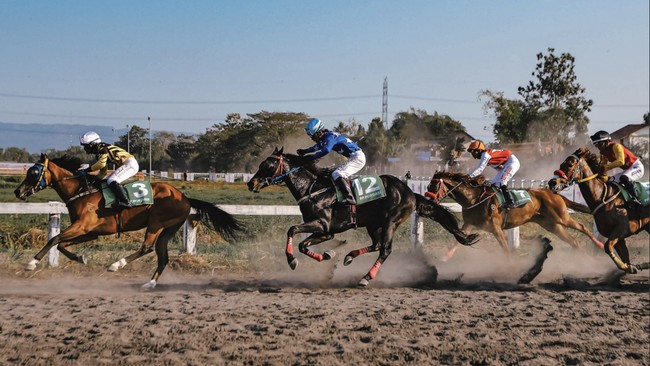 Dalam dunia pacuan kuda ada satu pencapaian yang diimpikan, yakni Triple Crown. Apa itu Triple Crown, dan kenapa sulit untuk meraihnya?