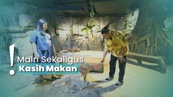 Rekreasi Akuarium di Mal, Lihat Ikan hingga Hewan Endemik