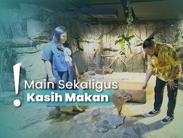 img-title Rekreasi Akuarium di Mal, Lihat Ikan hingga Hewan Endemik