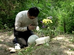 Video: Memanusiakan Tulang-tulang Manusia Korban Bom Atom di Hiroshima