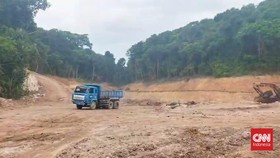 Petugas Gabungan Sidak Aktivitas Penebangan Hutan di Pulau Pial Batam