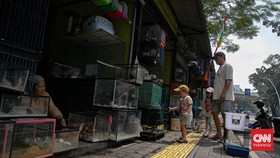 Suara Pedagang Barito saat Akan Direlokasi demi Proyek Taman ASEAN
