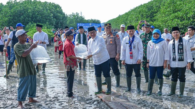 Transjakarta luncurkan program pemberdayaan ekonomi untuk nelayan Kepulauan Seribu dengan bantuan 24 ribu bibit ikan kerapu, dukung keberlanjutan.