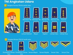 Urutan Pangkat TNI AU Lengkap, Dari Prajurit Dua sampai Marsekal TNI