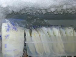 Batas Aman Simpan ASI di Freezer Menurut Ikatan Dokter Anak