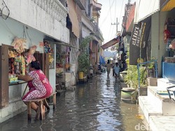 Banjir Rob Genangi Puluhan Rumah Warga di Pesisir Surabaya
