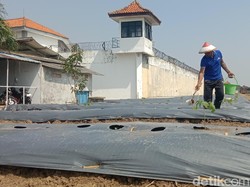 Di Balik Tembok Penjara, Ada Pangan yang Terjaga