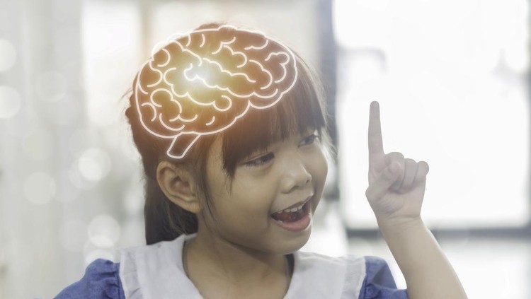 Tahapan perkembangan otak anak