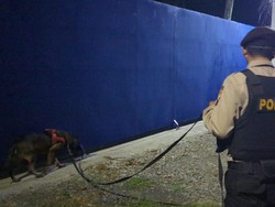 Anjing Pelacak Endus Batu Berlumur Darah di TKP Mayat Penuh Luka Purbalingga