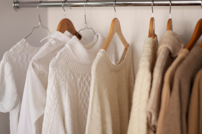 Bangun Wardrobe Minimalis/ Foto: freepik.com