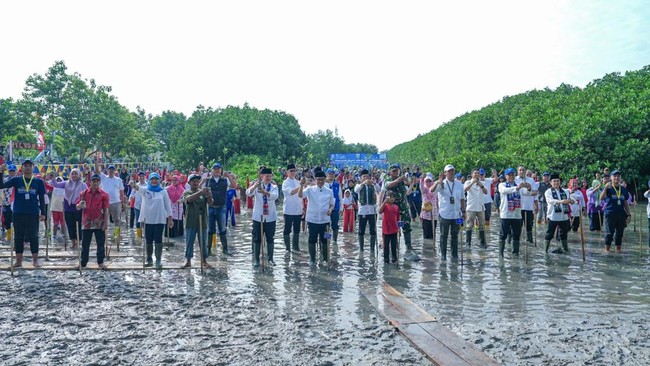 Transjakarta tanam 15.000 bibit mangrove di Kepulauan Seribu, melibatkan masyarakat dan mitra, dukung kelestarian lingkungan dan Net Zero Emission.