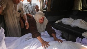 PBB: 798 Orang Tewas Saat Antre Bantuan di Gaza dalam 6 Pekan Ini