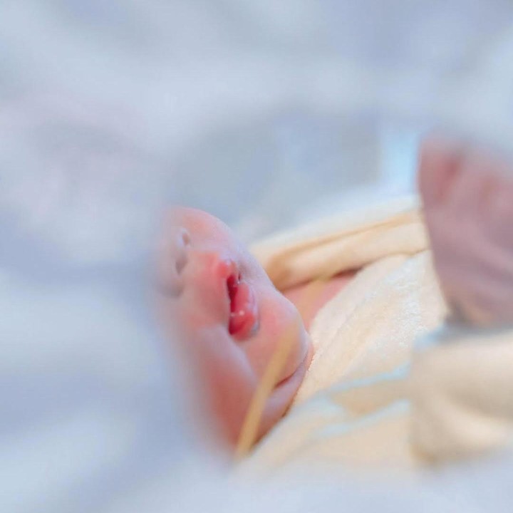 <p>Ribka dan Rian mengumumkan bahwa mereka menyambut keliahiran anak laki-laki. "Alhamdulillah, telah lahir putra pertama kami MUHAMMAD RAYVEN CAVERO ARDIANTO, anak laki-laki yg terpuji dan tampan, cerdas serta bercahaya, jujur dan dapat di percaya, serta hidup dalam kehormatan dan kewibawaan," tulis keduanya.&nbsp; Foto: Instagram @ribkasugiarto</p>