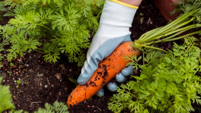 Ilustrasi/Foto: freepik.com/freepik