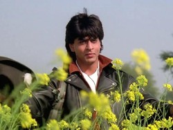 Alasan Shah Rukh Khan Tak Tertarik Main Film Hollywood
