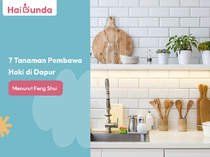 7 Tanaman Pembawa Hoki di Dapur Menurut Feng Shui