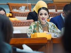 WNI Makin Mudah Dapat Visa Schengen, Anggota DPR: Ini Langkah Maju