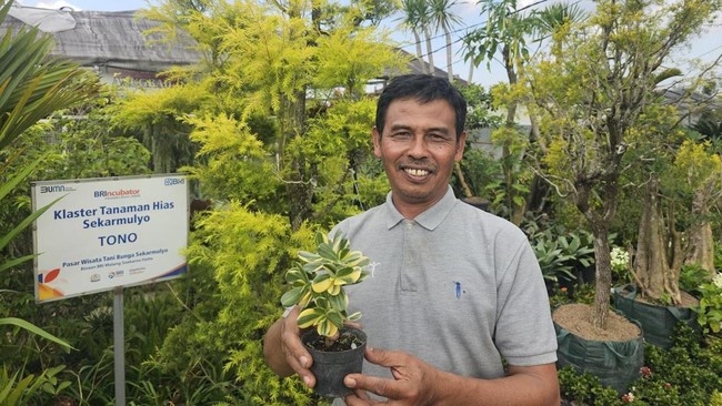 Dengan Klasterku Hidupku, anggota Klaster Tanaman Hias Sekar Mulyo dimudahkan baik untuk urusan simpanan dan pinjaman, maupun transaksi dengan pelanggan.
