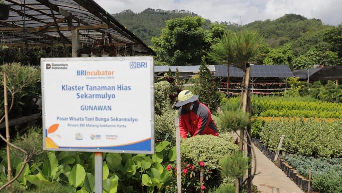 Pembiayaan dan Literasi Keuangan BRI Berdayakan 41 Ribu Klaster Usaha