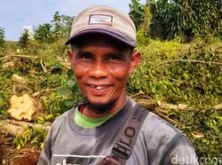 Sugeng Penakluk Beringin Raksasa Tua di Tengah Pemakaman