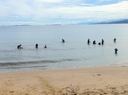Viral Warga di Tolitoli Berburu Emas di Pantai Tinabogan