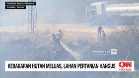 VIDEO: Kebakaran Hutan Meluas, Lahan Pertanian di Suriah Hangus
