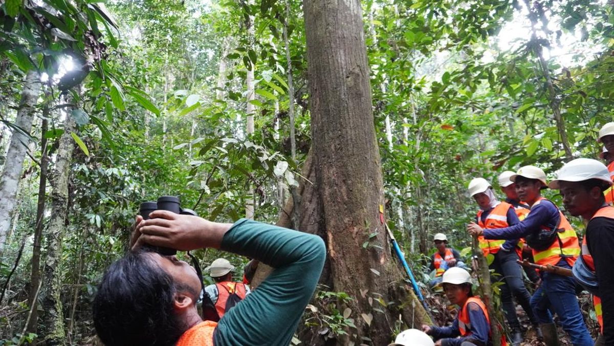 BRIN Gandeng YKAN Riset Satwa Langka di Kalimantan Timur