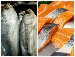 Ikan Kembung vs Ikan Salmon, Mana Lebih Tinggi Protein dan Omega 3?