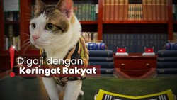 Video Bobby Kertanegara Dikawal Banyak Polisi Picu Kontroversi