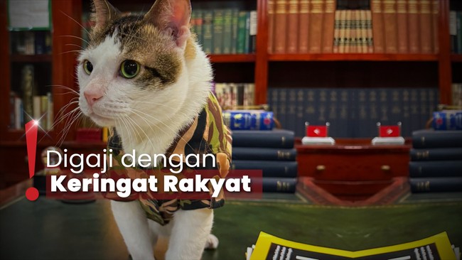 Video Bobby Kertanegara Dikawal Banyak Polisi Picu Kontroversi