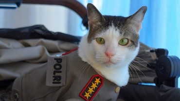 Bobby Kertanegara Kucing Prabowo Dikawal Polisi, Picu Perdebatan