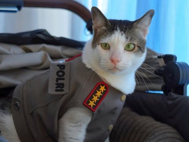 img-title Bobby Kertanegara Kucing Prabowo Dikawal Polisi, Picu Perdebatan