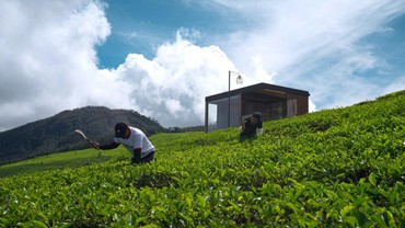 Cara Pilih Penginapan yang Ramah Lingkungan