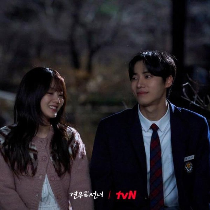 Cho Yi Hyun dan Cho Young Woo dalam drakor Head Over Heels/Foto: mydramalist.com