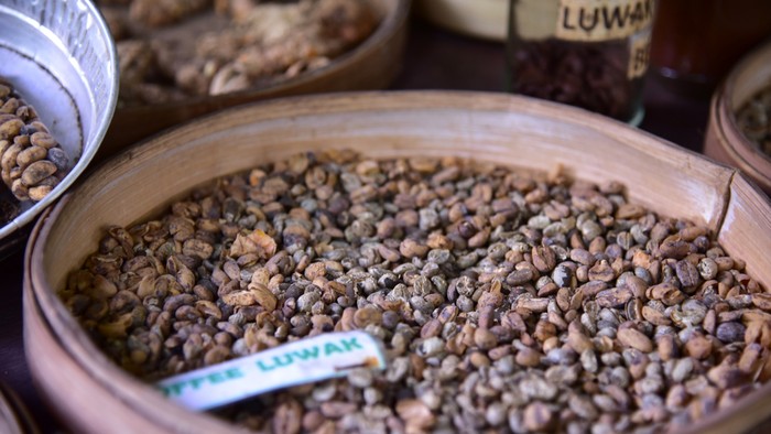 img-title 10 Biji Kopi Termahal di Dunia, Ada Kopi Luwak Khasnya Indonesia!