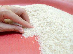 Beras Diduga Oplosan Beredar, Disperindag Jabar Uji Turun Tangan