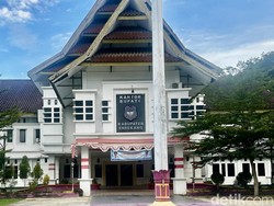PPPK di Enrekang Terpaksa Jadi Buruh Tani gegara Gaji Nunggak 5 Bulan