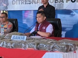 Polda NTB Bongkar Penyelundupan Ganja 27 Kg ke Gili Trawangan