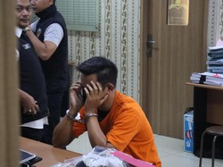 Sosok Pelaku Pelecehan di Pesawat: Lulusan Kedokteran Hewan