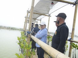 Dorong Ekonomi Pesisir, Walkot Semarang Bakal Sulap Tambakrejo Jadi Ekowisata