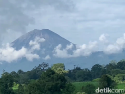 Gunung Semeru Erupsi Pagi Ini, Kolom Abu Membubung Setinggi 1 Km