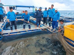 MIND ID Perkuat Ekonomi Masyarakat Pesisir Lewat Budidaya Ikan Laut