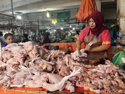 Omzet Penjualan Daging Ayam di Medan Merosot gegara Harga Melambung